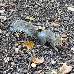 Hanley Park - Stoke-on-Trent