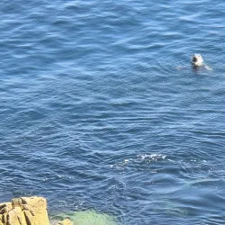 Butt of Lewis Lighthouse - Stornoway