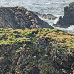 Butt of Lewis Lighthouse - Stornoway