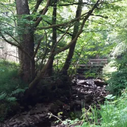 Stornoway Golf Club - Stornoway