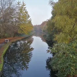 Stourbridge Canal - Stourbridge
