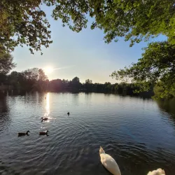 Needham Lake - Stowmarket