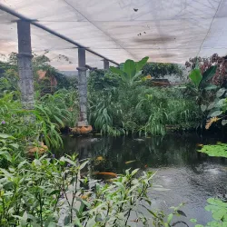 Stratford Butterfly Farm - Stratford upon Avon