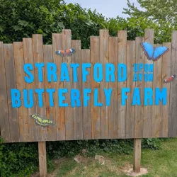 Stratford Butterfly Farm - Stratford upon Avon