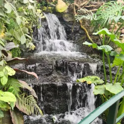 Stratford Butterfly Farm - Stratford upon Avon