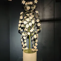 The MAD Museum (Mechanical Art & Design) - Stratford upon Avon