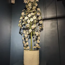 The MAD Museum (Mechanical Art & Design) - Stratford upon Avon