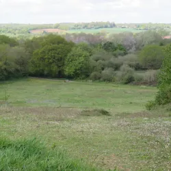 Cornard Country Park - Sudbury