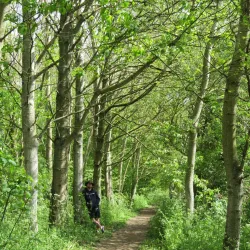 Cornard Country Park - Sudbury