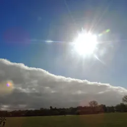 Cornard Country Park - Sudbury