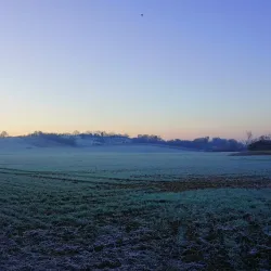 Cornard Country Park - Sudbury