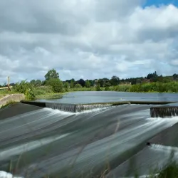 Sudbury Common Lands - Sudbury