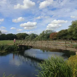 Sudbury Common Lands - Sudbury