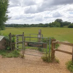 Sudbury Common Lands - Sudbury