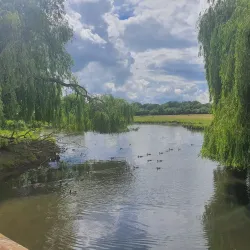 The Water Meadows - Sudbury