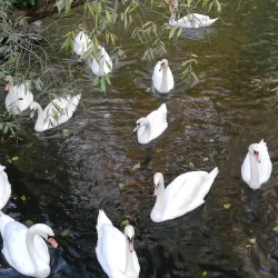 The Water Meadows - Sudbury