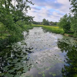 The Water Meadows - Sudbury