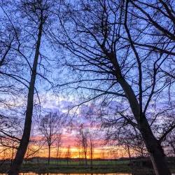 The Water Meadows - Sudbury