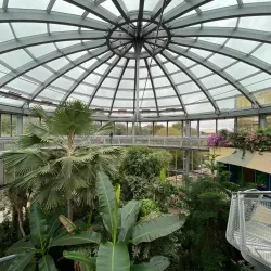 Sunderland Museum and Winter Gardens - Sunderland