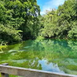 Silent Pool - Surrey