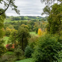 Winkworth Arboretum - Surrey