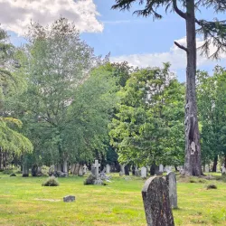 Brookwood Cemetery - Sutton Green