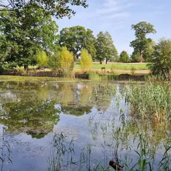 Hatchlands Park - Sutton Green