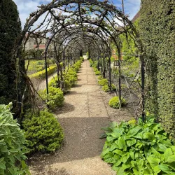 Loseley Park - Sutton Green