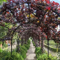 Loseley Park - Sutton Green