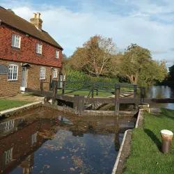 River Wey Navigation - Sutton Green