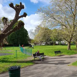 Sutton Green Common - Sutton Green