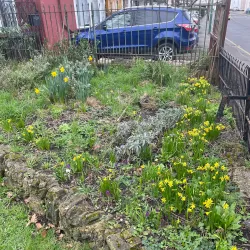 Sutton Green Common - Sutton Green