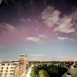 Sutton Green Common - Sutton Green