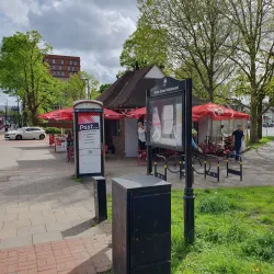 Sutton Green Common - Sutton Green