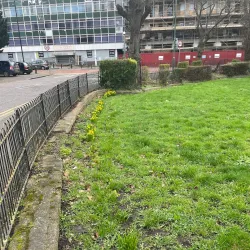 Sutton Green Common - Sutton Green