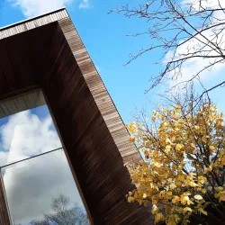 The Lightbox Gallery and Museum - Sutton Green