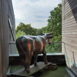 The Lightbox Gallery and Museum - Sutton Green