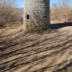 The Surrey Hills Area of Outstanding Natural Beauty - Sutton Green