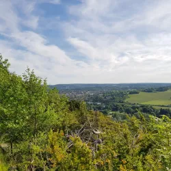The Surrey Hills Area of Outstanding Natural Beauty - Sutton Green