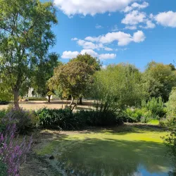 Woking Park - Sutton Green