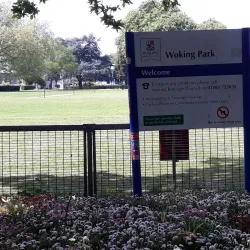Woking Park - Sutton Green