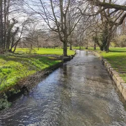 Beddington Park - Sutton