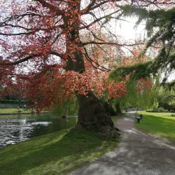 Beddington Park - Sutton