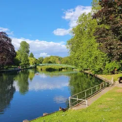 Beddington Park - Sutton
