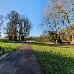 Beddington Park - Sutton