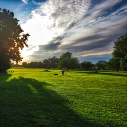 Beddington Park - Sutton