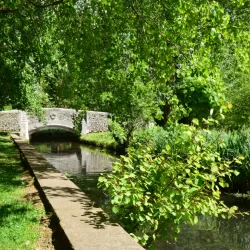 Beddington Park - Sutton