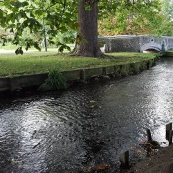 Beddington Park - Sutton