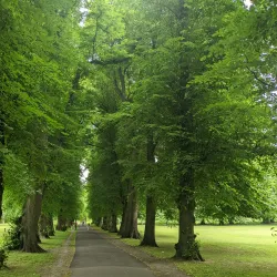 Beddington Park - Sutton