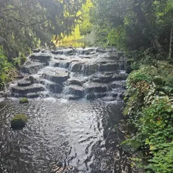 Carshalton Ponds - Sutton